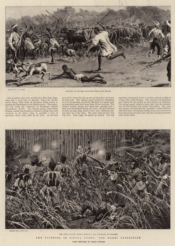 The Fighting in Sierra Leone, the Mendi Expedition by S.T. Dadd