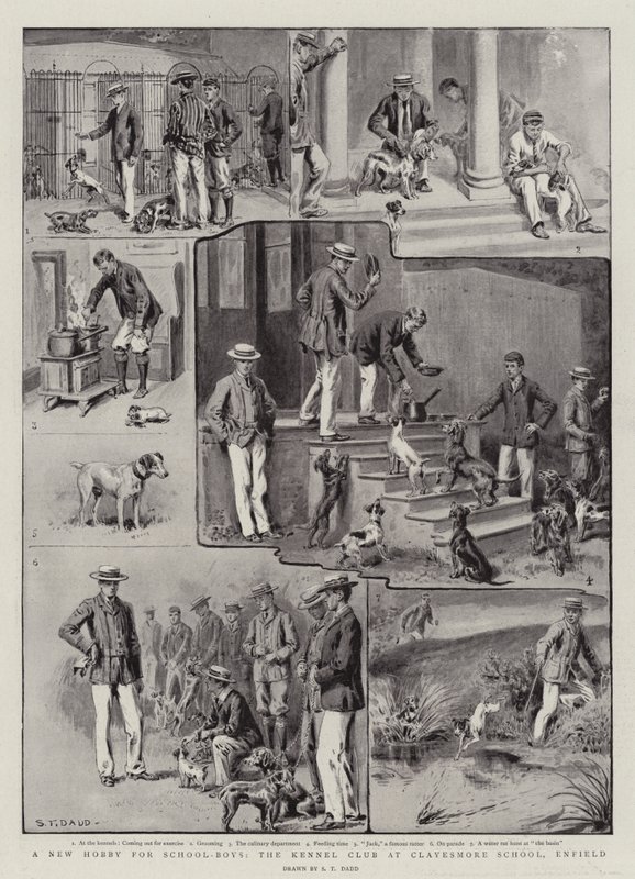 A New Hobby for School-Boys, the Kennel Club at Clayesmore School, Enfield by S.T. Dadd