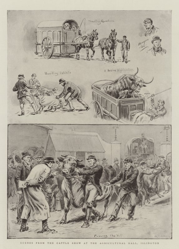 Scenes from the Cattle Show at the Agricultural Hall, Islington by S.T. Dadd