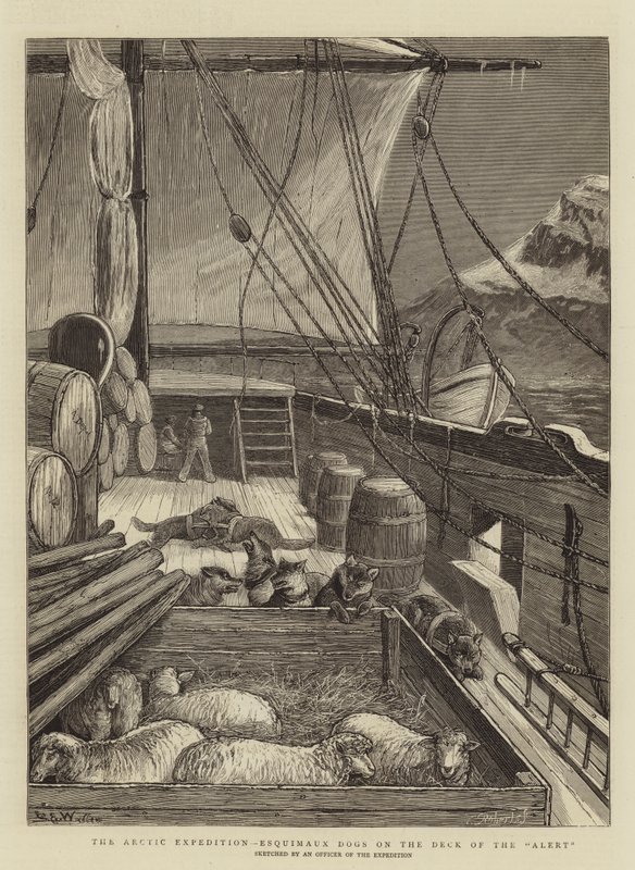 The Arctic Expedition, Esquimaux Dogs on the Deck of the Alert by Samuel Edmund Waller