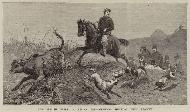 The British Fleet in Besika Bay, Officers hunting with Beagles by Samuel Edmund Waller
