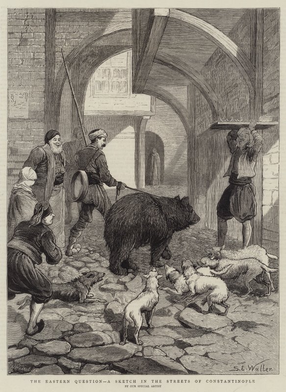 The Eastern Question, a Sketch in the Streets of Constantinople by Samuel Edmund Waller