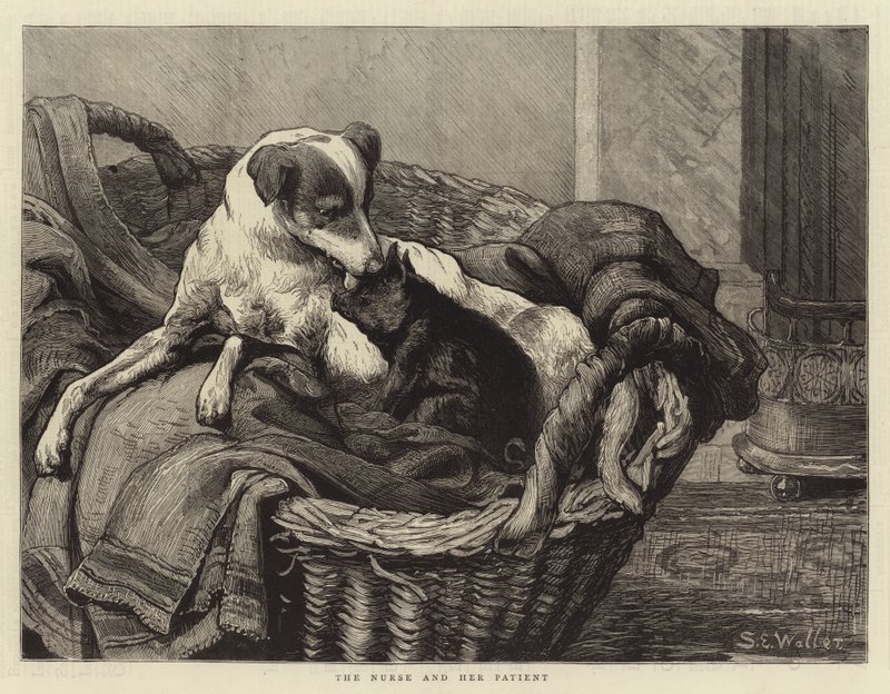 The Nurse and Her Patient by Samuel Edmund Waller