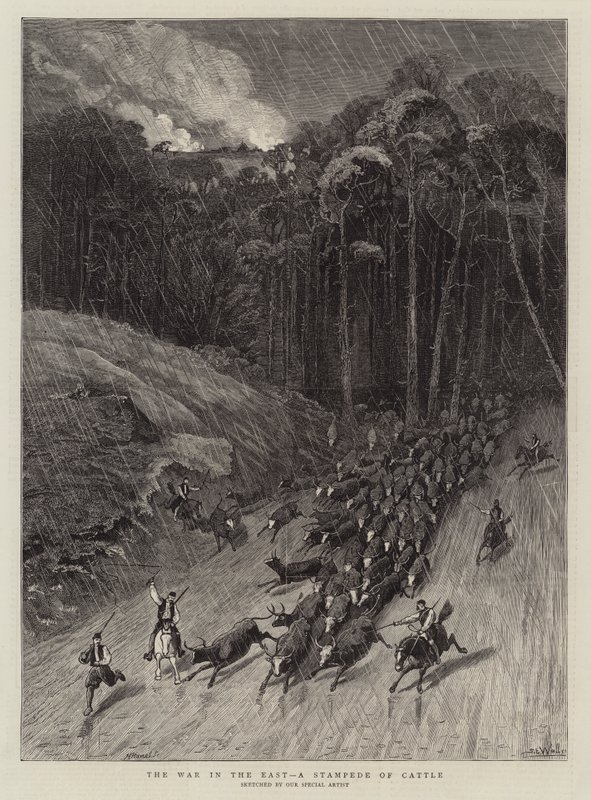The War in the East, a Stampede of Cattle by Samuel Edmund Waller