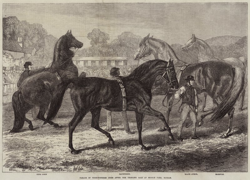 Parade of Thoroughbred Sires After the Yearling Sale at Middle Park, Eltham by Samuel John Carter