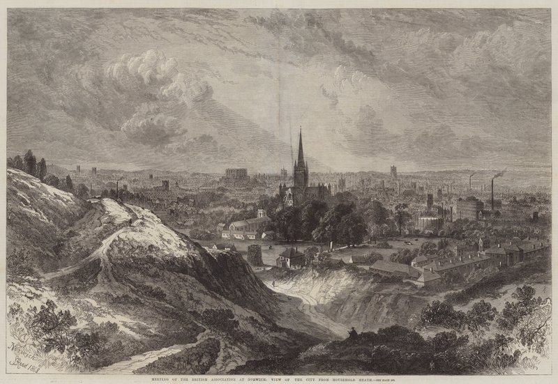 Meeting of the British Association at Norwich, View of the City from Mousehold Heath by Samuel Read