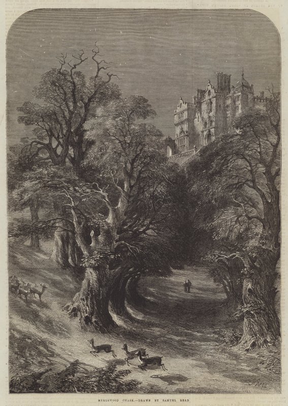 Merlewood Chase by Samuel Read