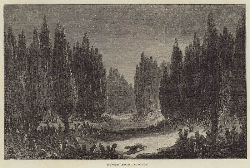 The Great Cemetery, at Scutari by Samuel Read