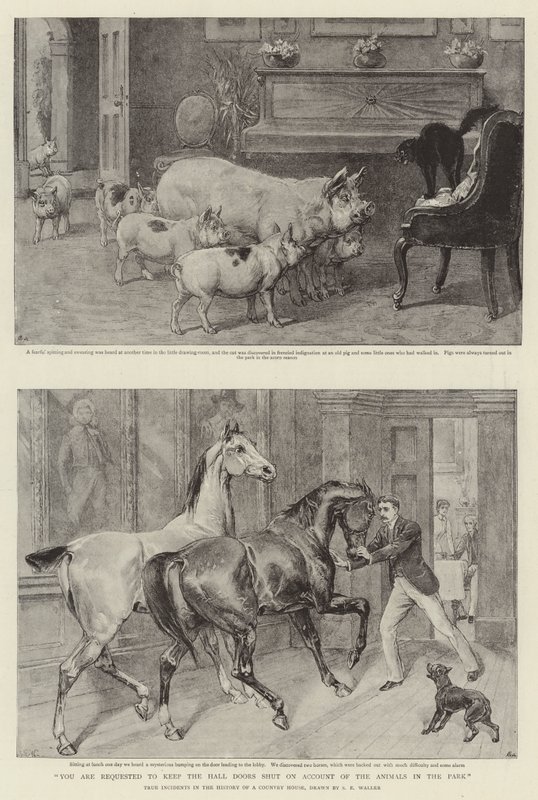 You Are Requested to Keep the Hall Doors Shut on Account of the Animals in the Park by Samuel Edmund Waller