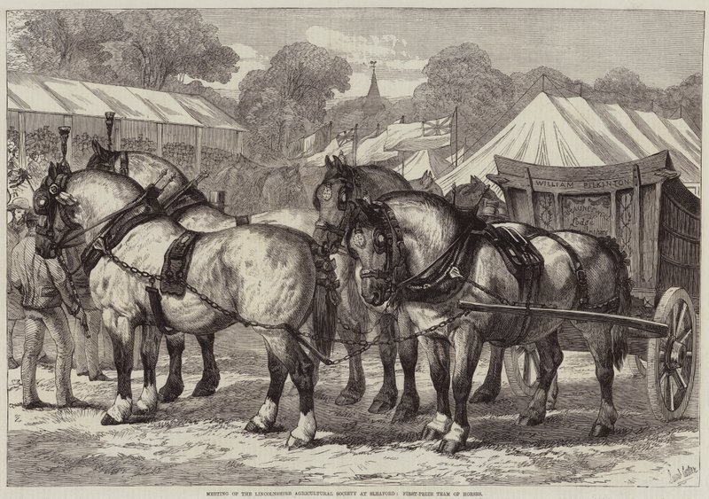 Meeting of the Lincolnshire Agricultural Society at Sleaford, First-Prize Team of Horses by Samuel John Carter