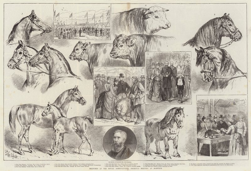 Sketches at the Royal Agricultural Society
