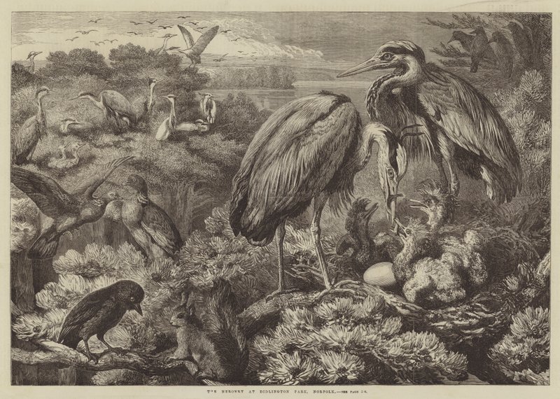 The Heronry at Didlington Park, Norfolk by Samuel John Carter
