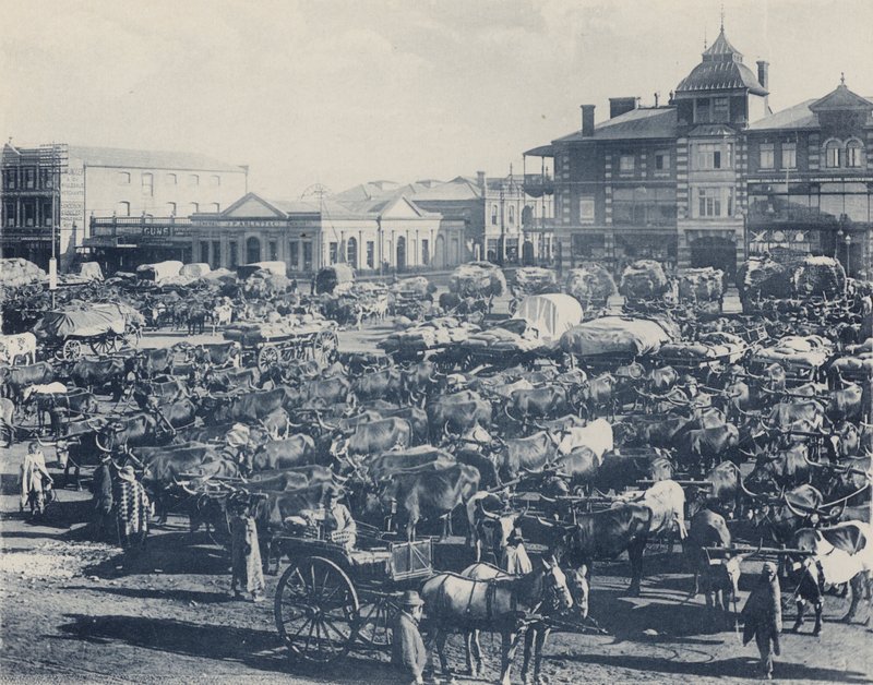 Early Morning Market by South African Photographer