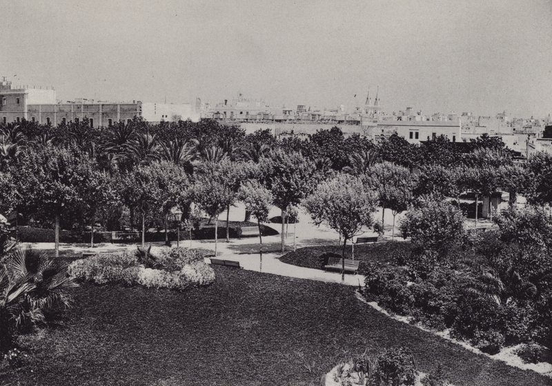 Cadiz: Genoves Park by Spanish Photographer