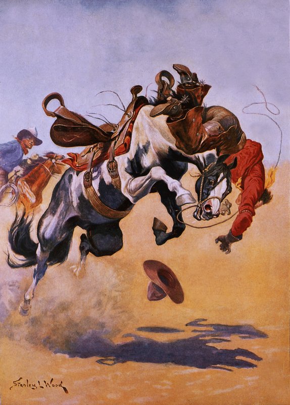 Bucked! by Stanley L. Wood