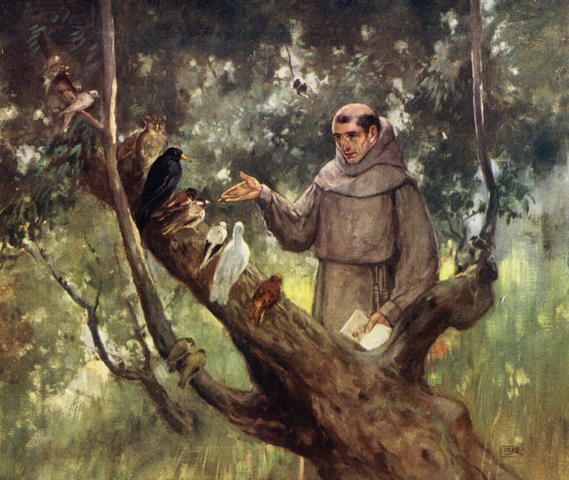Saint Francis preaching to the Birds by Stephen Reid