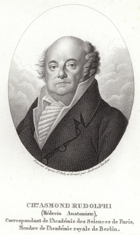 Karl Asmund Rudolphi by Swedish School