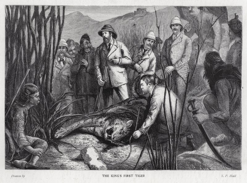 King Edward VII with the tiger he has killed by Sydney Prior (after) Hall