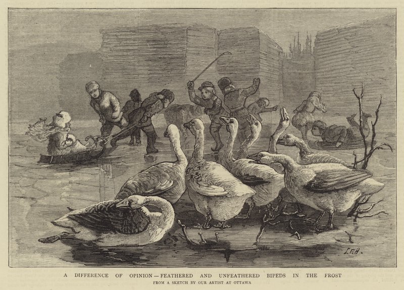 A Difference of Opinion, feathered and unfeathered Bipeds in the Frost by Sydney Prior Hall