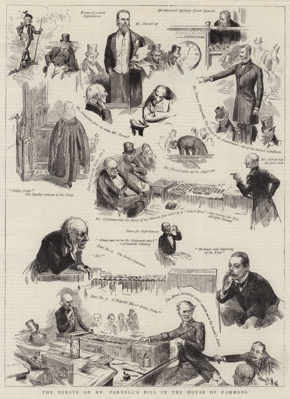 The Debate on Mr Parnell