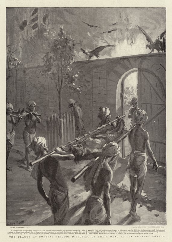 The Plague at Bombay, Hindoos disposing of their dead at the Burning Ghauts by Sydney Prior Hall