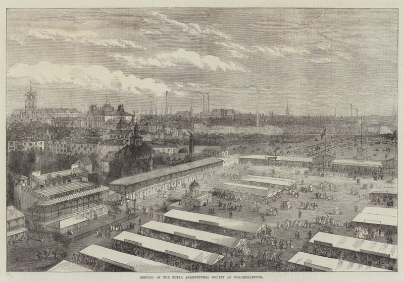 Meeting of the Royal Agricultural Society at Wolverhampton by Thomas Sulman