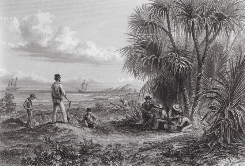 Australia: An Explorer
