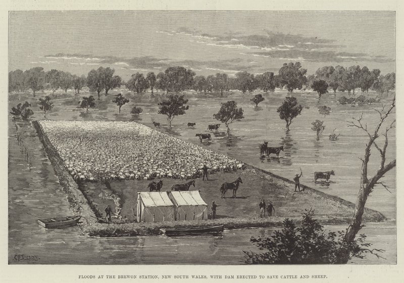 Floods at the Brewon Station, New South Wales, with Dam Erected to Save Cattle and Sheep by Thomas Harrington Wilson