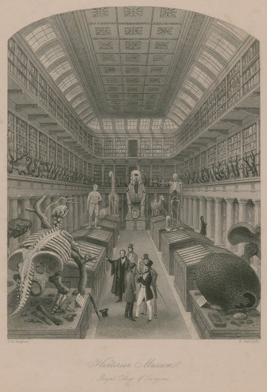 Hunterian Museum, Royal College of Surgeons, London by Thomas Hosmer Shepherd