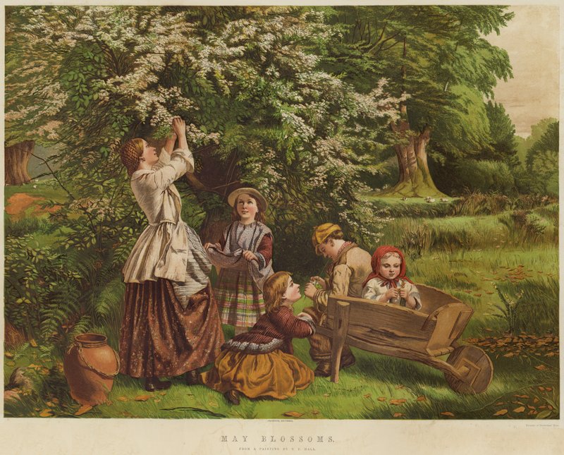 May Blossoms by Thomas P. Hall
