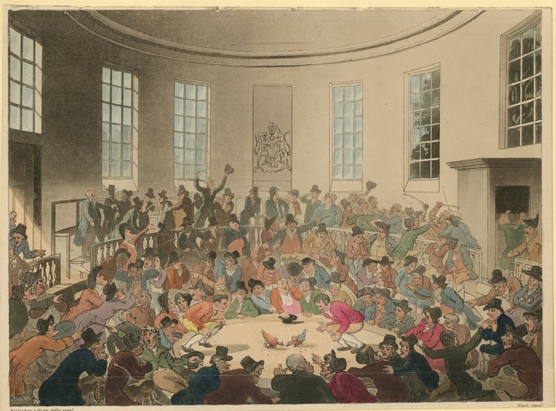 Illustration depicting a crowd watching a cock fight by Thomas Rowlandson