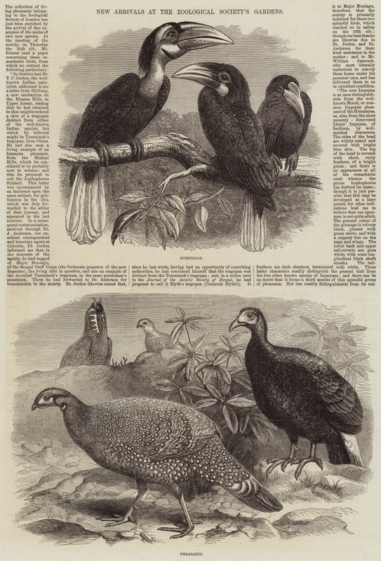 New Arrivals at the Zoological Society