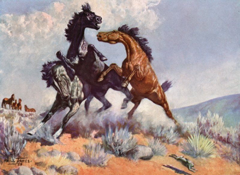 Smoky the Cow Horse by Unbekannt Unbekannt