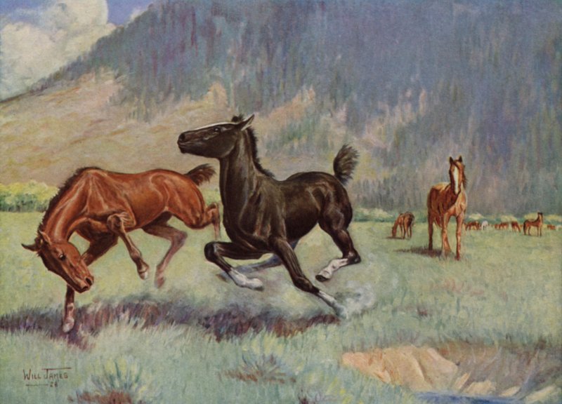 Smoky the Cow Horse by Unbekannt Unbekannt