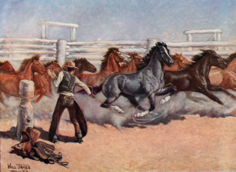 Smoky the Cow Horse by Unbekannt Unbekannt