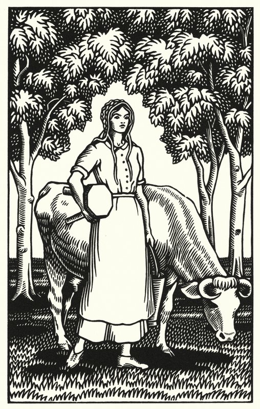 Illustration for Tess Of The D