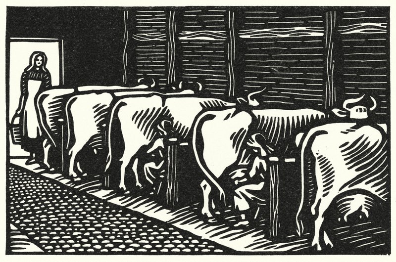 Illustration for Tess Of The D