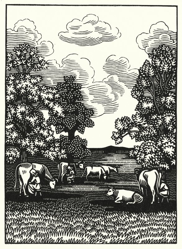 Illustration for Tess of the d