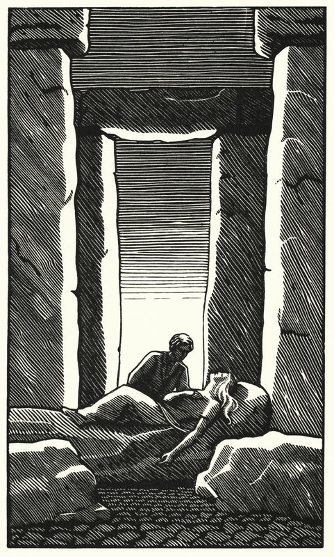 Illustration for Tess of the d