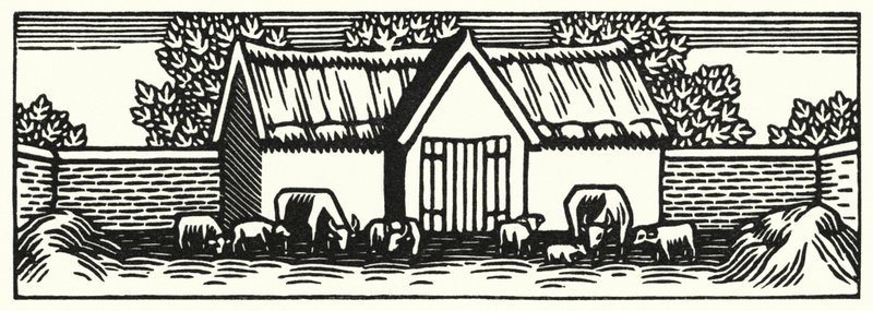 Illustration for Tess of the d