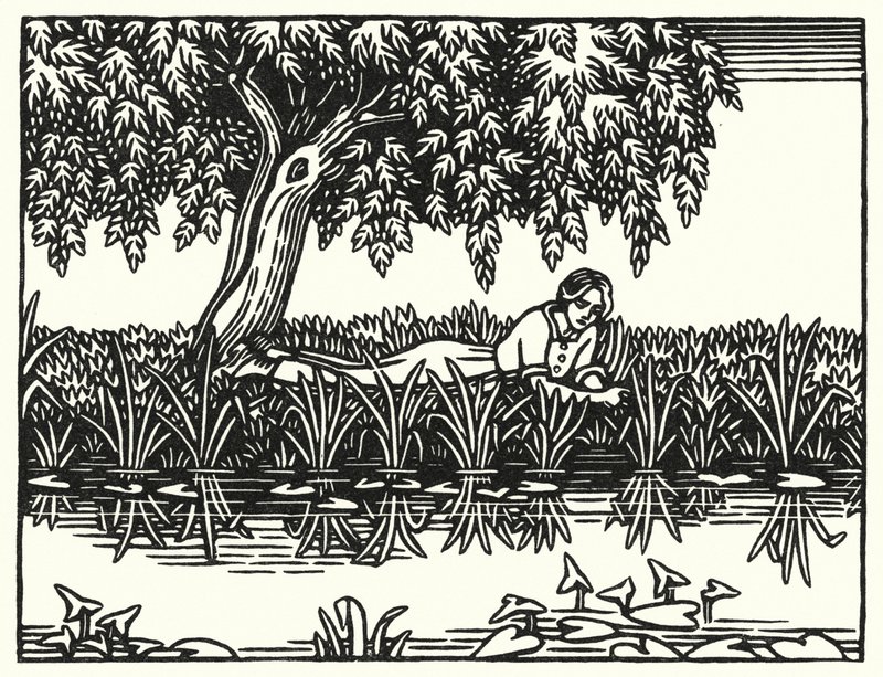 Illustration for Tess of the d