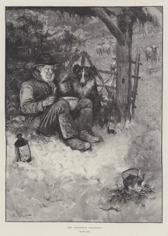 The Shepherd