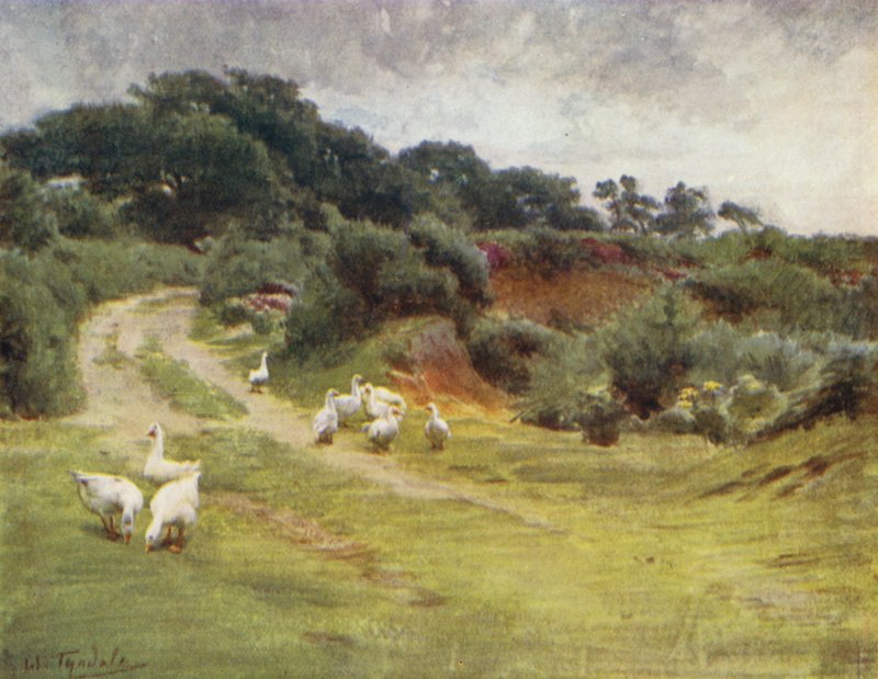 The New Forest: Royden Common, near Brokenhurst by Walter Frederick Roofe Tyndale