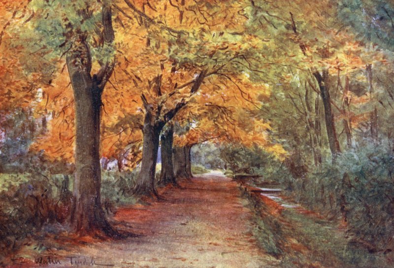 Wessex: Bockhampton Bank, near Dorchester by Walter Frederick Roofe Tyndale