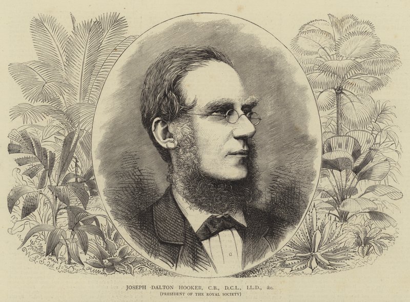 Joseph Dalton Hooker, CB, DCL, LLD, etc by Walter Granville-Smith