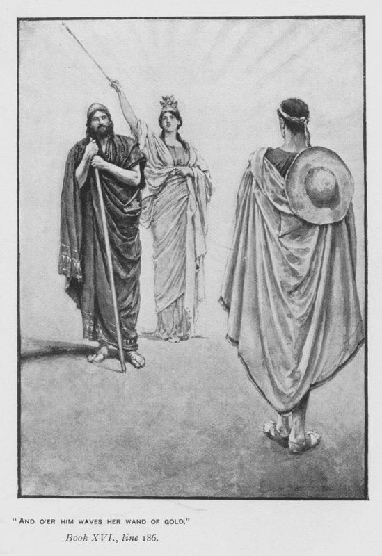 Illustration for Pope