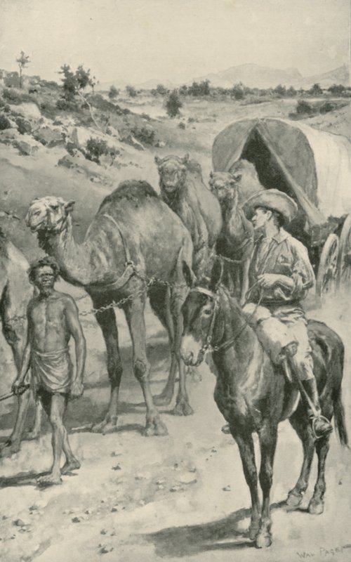 A Camel-Caravan, Western Australia by Walter Stanley Paget