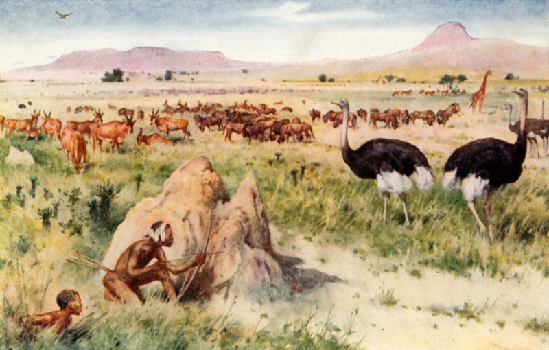 A South African Plain: Before the Coming of the White Man by Walter Stanley Paget