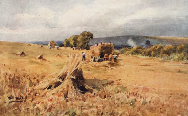 Harvesting by Wilfrid Williams Ball