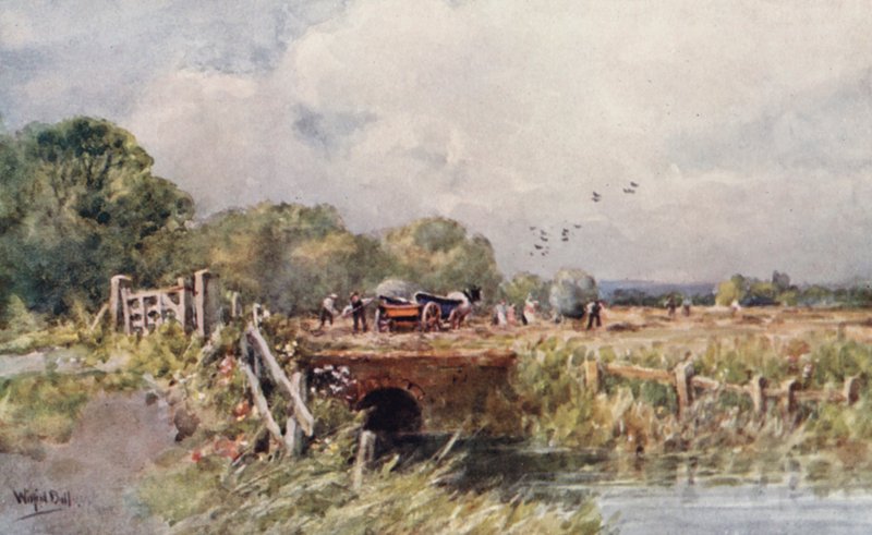 Haymaking by Wilfrid Williams Ball